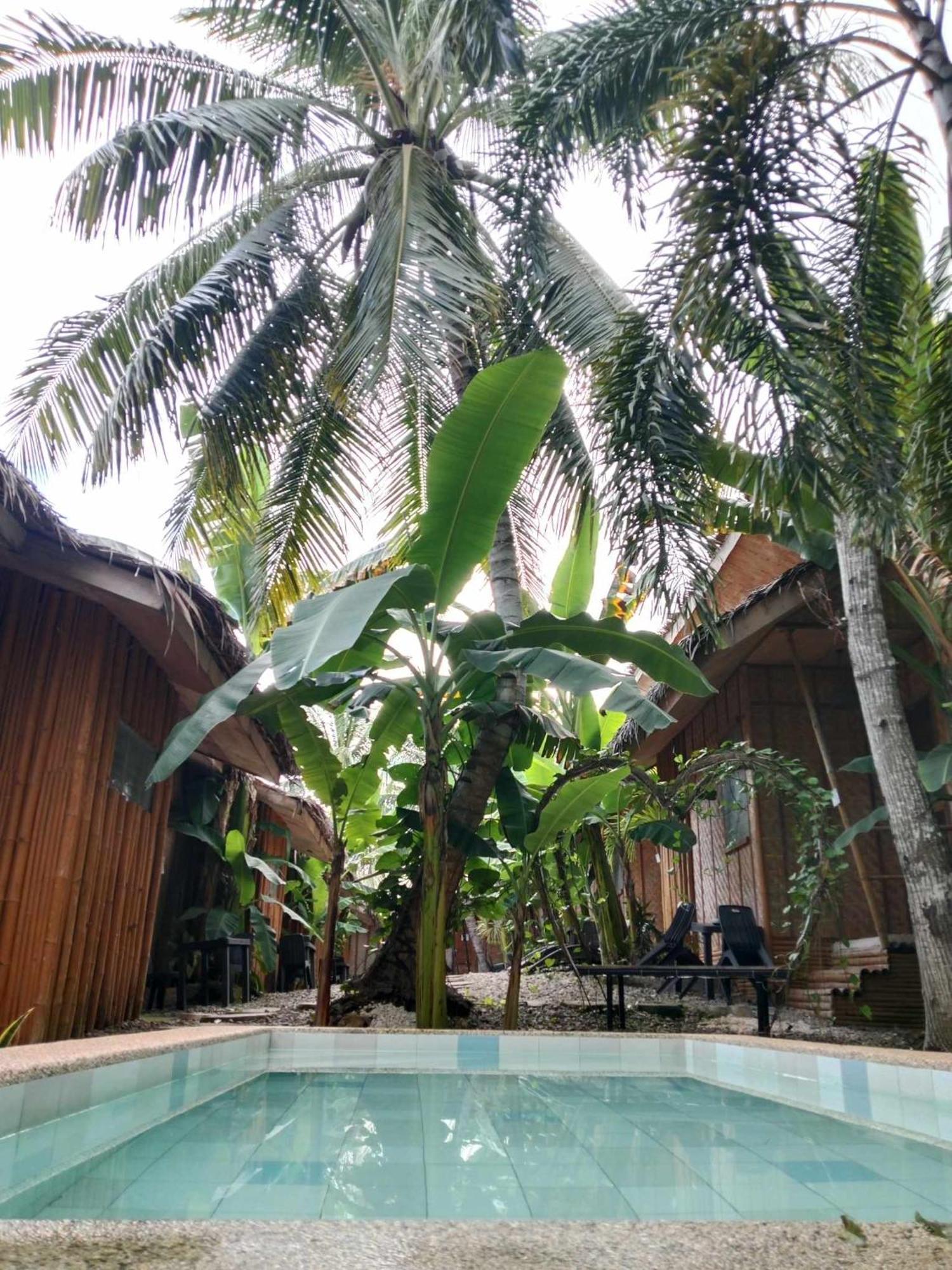 Ecostay Panglao Resort Hotel ภายนอก รูปภาพ
