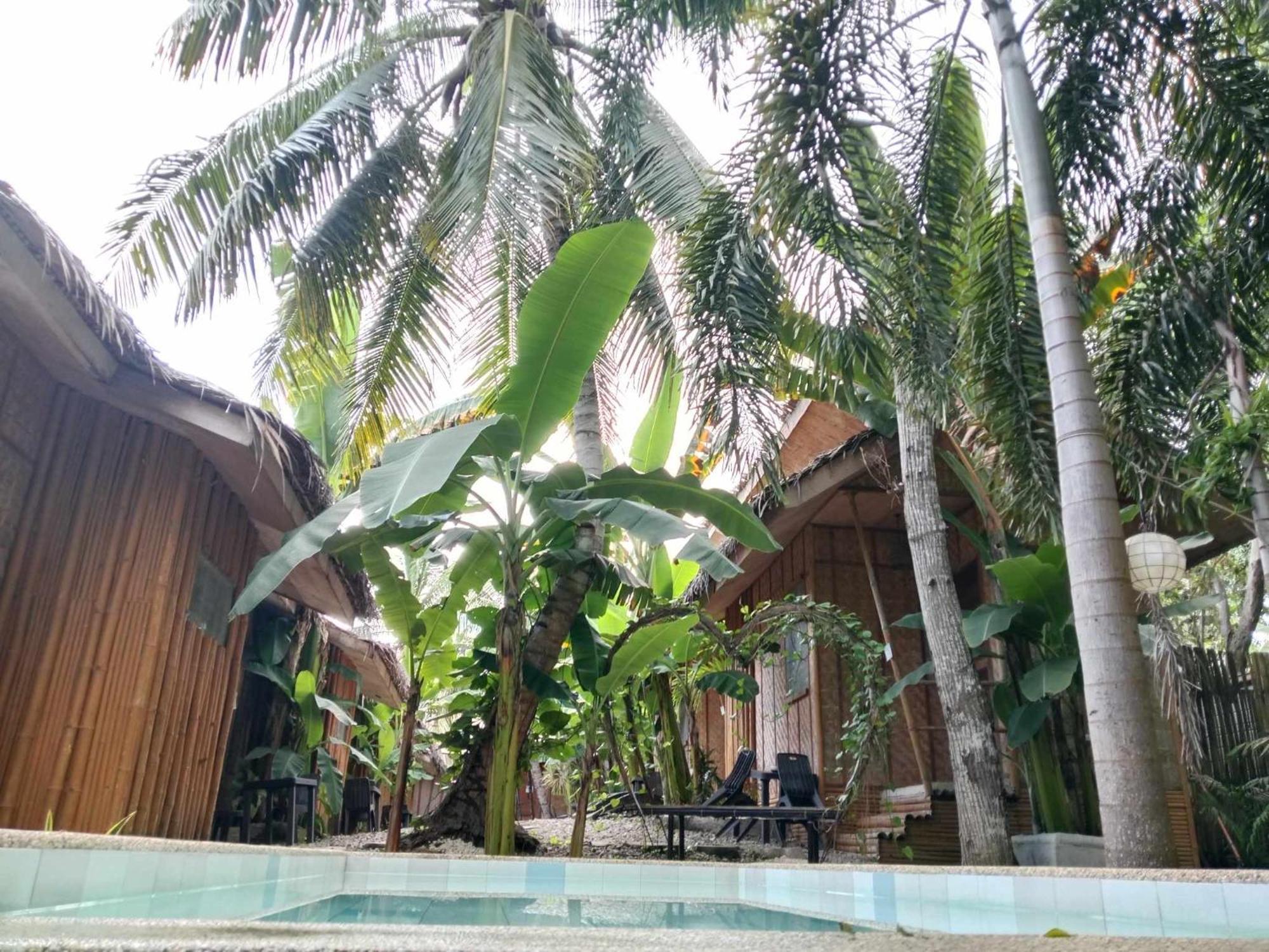 Ecostay Panglao Resort Hotel ภายนอก รูปภาพ